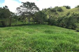 Development Land (Residential) for Sale in Bamboo