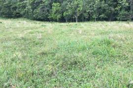 Development Land (Residential) for Sale in Bamboo