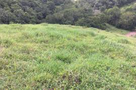 Development Land (Residential) for Sale in Bamboo