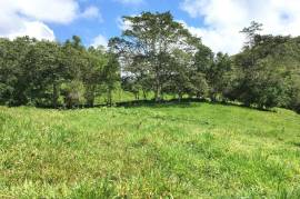 Development Land (Residential) for Sale in Bamboo