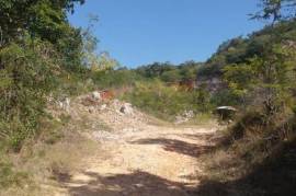 Development Land (Residential) for Sale in Spanish Town