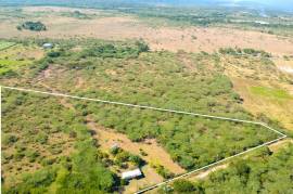 Development Land (Residential) for Sale in Milk River