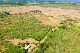 Development Land (Residential) for Sale in Milk River