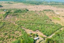 Development Land (Residential) for Sale in Milk River