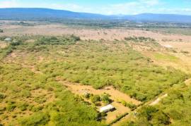 Development Land (Residential) for Sale in Milk River