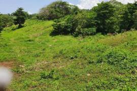 Development Land (Residential) for Sale in Long Bay