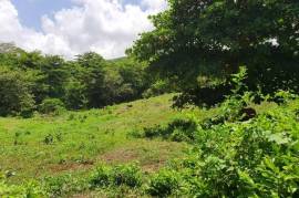 Development Land (Residential) for Sale in Long Bay