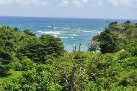 Development Land (Residential) for Sale in Long Bay