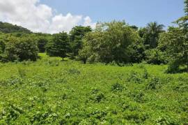 Development Land (Residential) for Sale in Long Bay