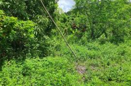 Development Land (Residential) for Sale in Long Bay