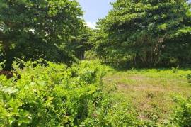 Development Land (Residential) for Sale in Long Bay