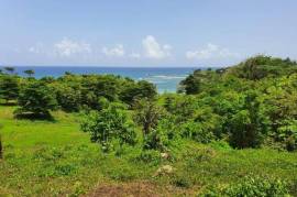 Development Land (Residential) for Sale in Long Bay