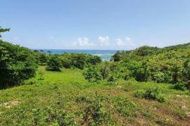 Development Land (Residential) for Sale in Long Bay