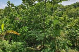 Development Land (Residential) for Sale in Long Bay