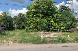 Development Land (Residential) for Sale in May Pen