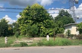 Development Land (Residential) for Sale in May Pen