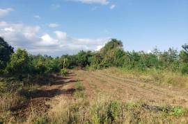 Development Land (Residential) for Private in Old Harbour