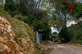 Development Land (Residential) for Sale in Kingston 8