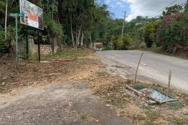 Development Land (Residential) for Sale in Kingston 8