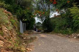 Development Land (Residential) for Sale in Kingston 8