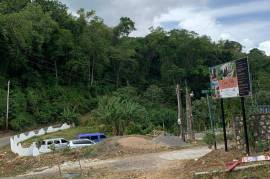 Development Land (Residential) for Sale in Kingston 8