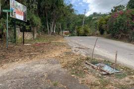 Development Land (Residential) for Sale in Kingston 8