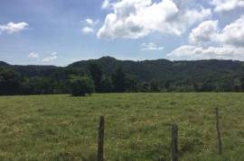 Development Land (Residential) for Sale in Labryrinth