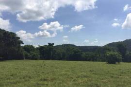 Development Land (Residential) for Sale in Labryrinth