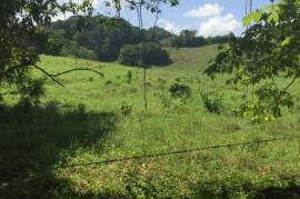 Development Land (Residential) for Sale in Labryrinth