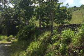 Development Land (Residential) for Sale in Labryrinth