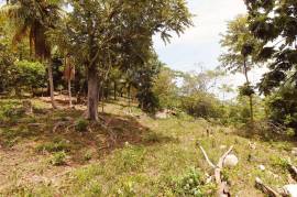 Development Land (Residential) for Sale in Hope Bay