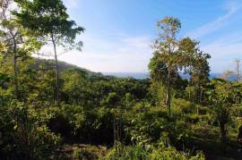 Development Land (Residential) for Sale in Hope Bay