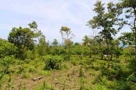 Development Land (Residential) for Sale in Hope Bay