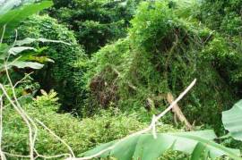 Development Land (Residential) for Sale in Kingston 8