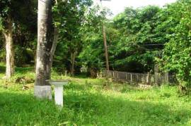 Development Land (Residential) for Sale in Kingston 8