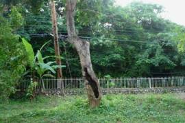 Development Land (Residential) for Sale in Kingston 8