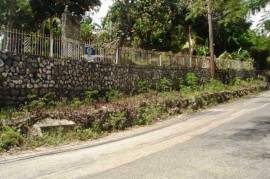 Development Land (Residential) for Sale in Kingston 8