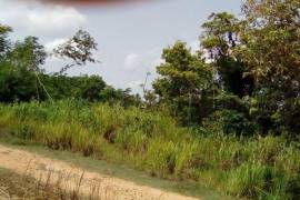 Development Land (Residential) for Sale in Boscobel