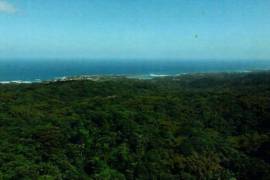 Development Land (Residential) for Sale in Manchioneal