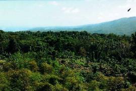 Development Land (Residential) for Sale in Manchioneal