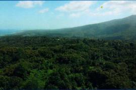 Development Land (Residential) for Sale in Manchioneal