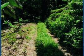 Development Land (Residential) for Sale in Manchioneal