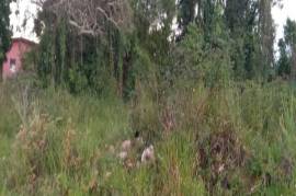 Development Land (Residential) for Sale in Mandeville