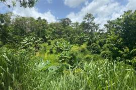 Development Land (Residential) for Sale in Christiana