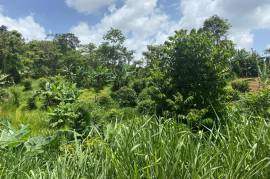 Development Land (Residential) for Sale in Christiana