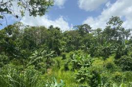 Development Land (Residential) for Sale in Christiana