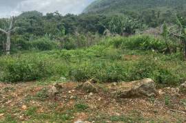 Development Land (Residential) for Sale in Christiana