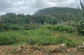 Development Land (Residential) for Sale in Christiana