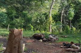 Development Land (Residential) for Sale in Pepper