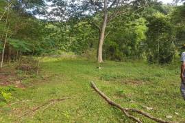 Development Land (Residential) for Sale in Pepper